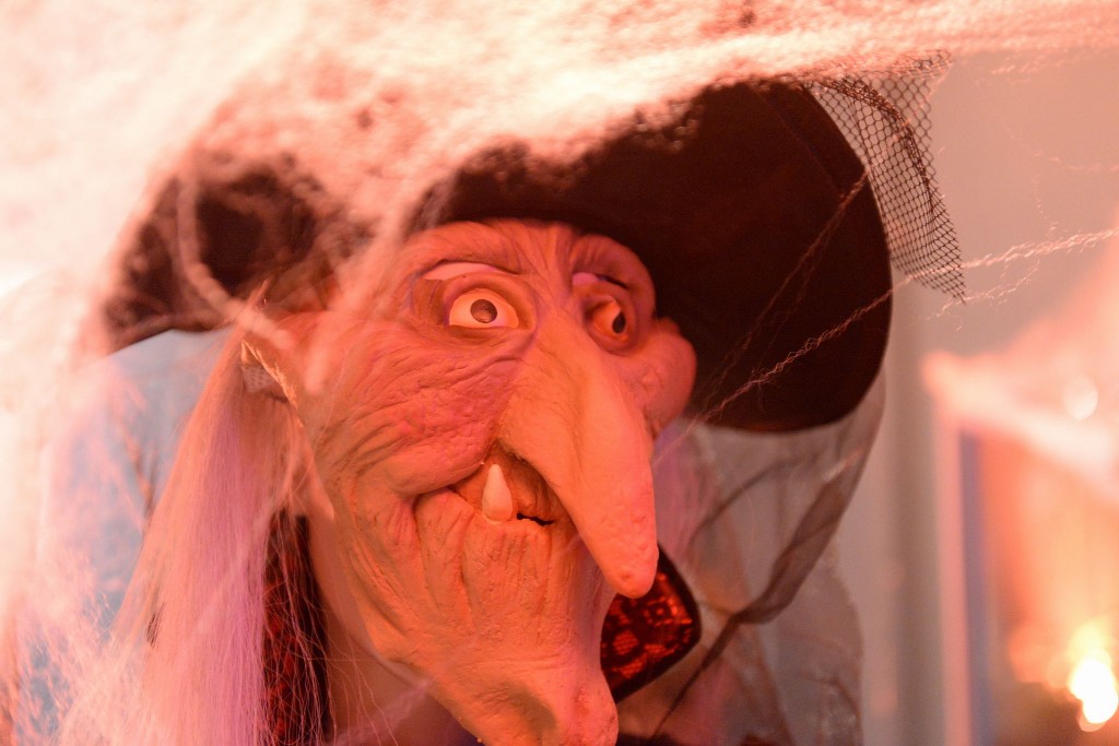 ../Images/Halloween Kaninefaaten 319.jpg